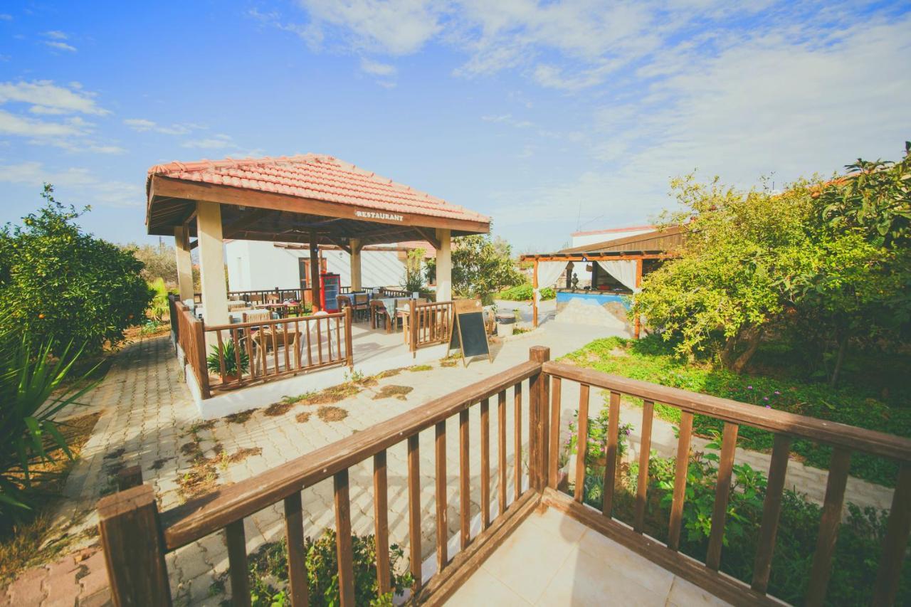 Castle Karpasia Guest House Authentic Atmosphere ! Rizokarpaso Екстер'єр фото